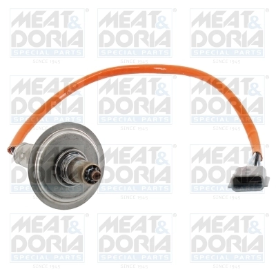 Oxygen Sensor